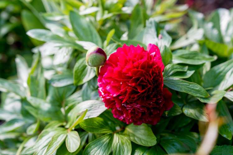 59 Isadore Road Saint Clair_30