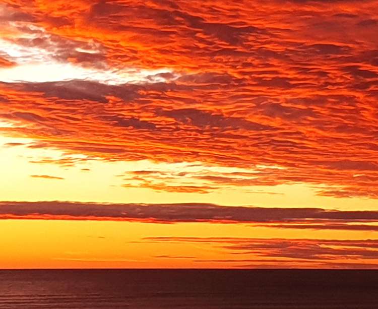 Lots 2-7/402 Main South Road Paroa_11