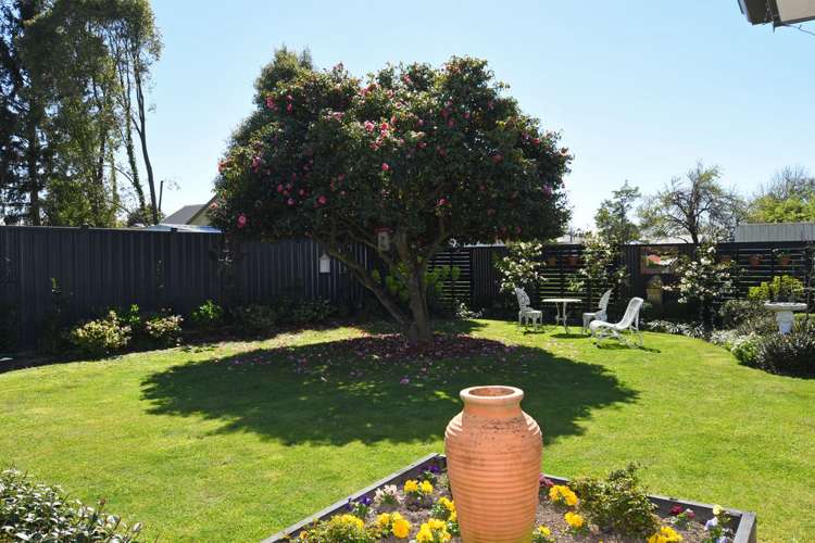 37 Mcmaster Street Greytown_15