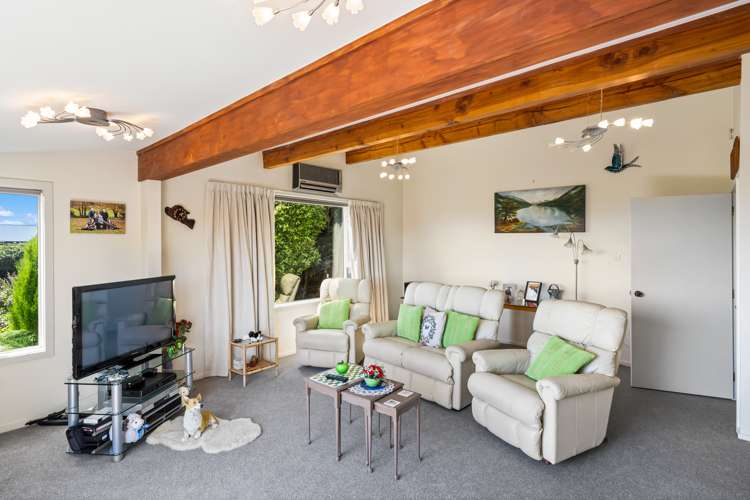 234 Cannon Hill Crescent Mount Pleasant_7