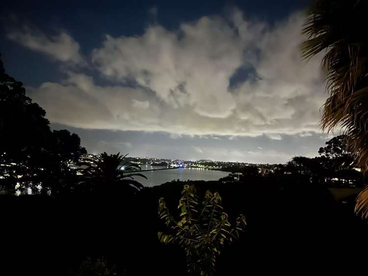 117B St Stephens Avenue Parnell_22