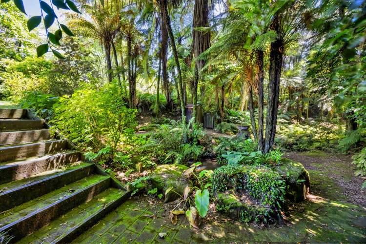 42A Regan Street Stratford_41