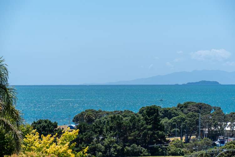 3/13 Penning Road Milford_23