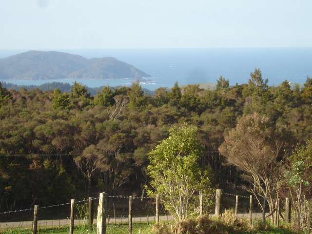 158 Hay Road Hukerenui and Surrounds_2