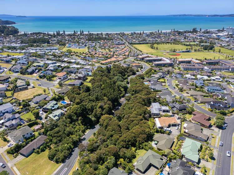 19 Grovenor Drive Orewa_9