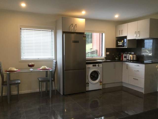 19 Eleanor Place (Studio) Blockhouse Bay_4