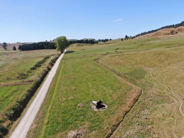 Kahuwera Road Piopio_22