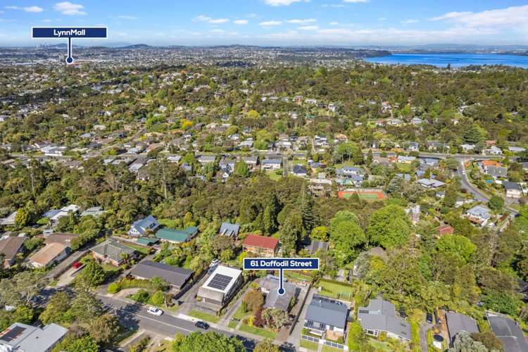 61 Daffodil Street Titirangi_25