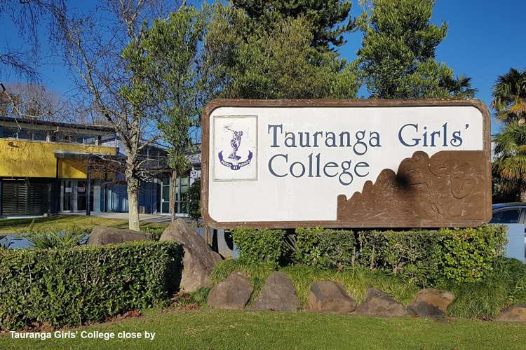 935 Cameron Road Gate Pa_15