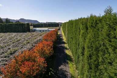 115 Tuapiro Road_3