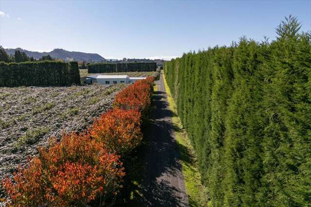 115 Tuapiro Road Tahawai_4