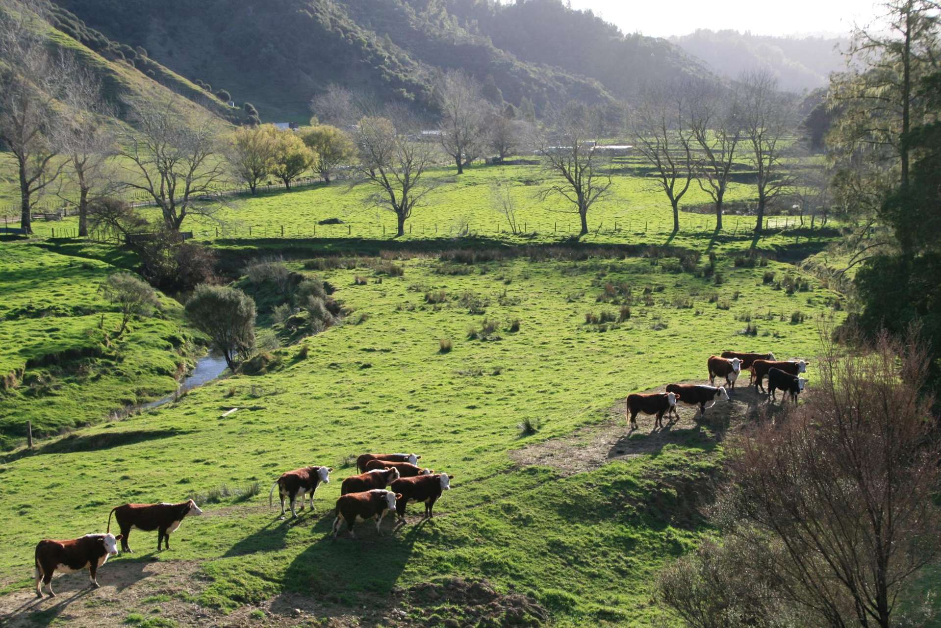 0n Mangaonga Road Ahititi_0