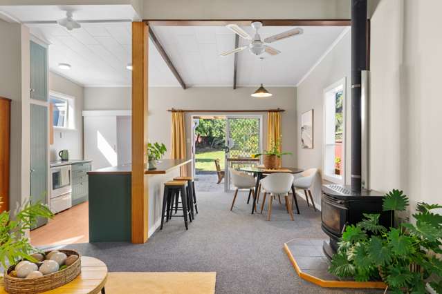 305 Clifford Street Whataupoko_4