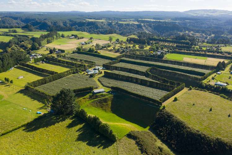 585d Mclaren Falls Road Kaimai_21