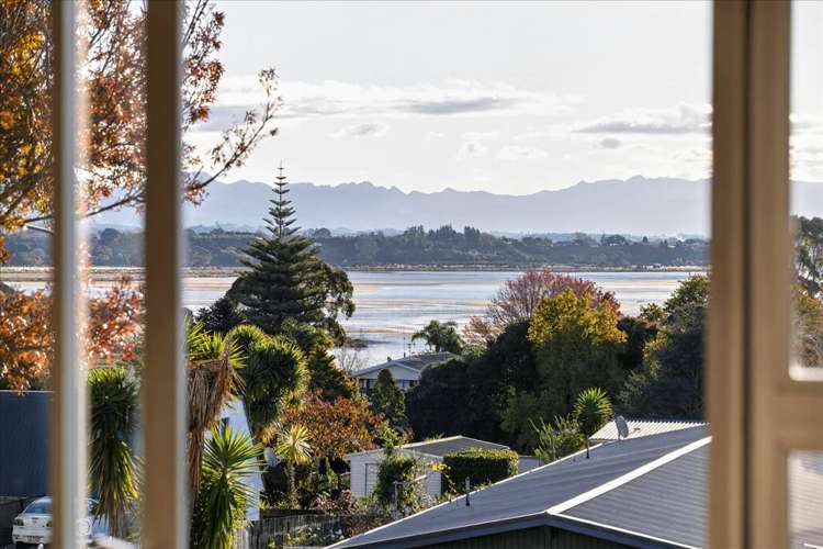 56 Anne Road Bellevue_2