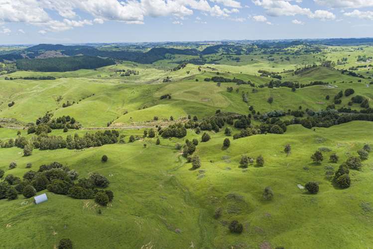 282 Taipuha Station Road Otamatea Surrounds_5