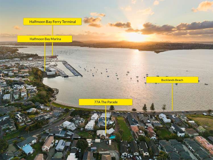 77A The Parade Bucklands Beach_36