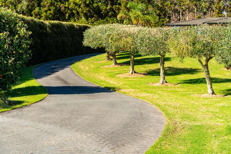 81 Avocado Lane Mangawhai_21