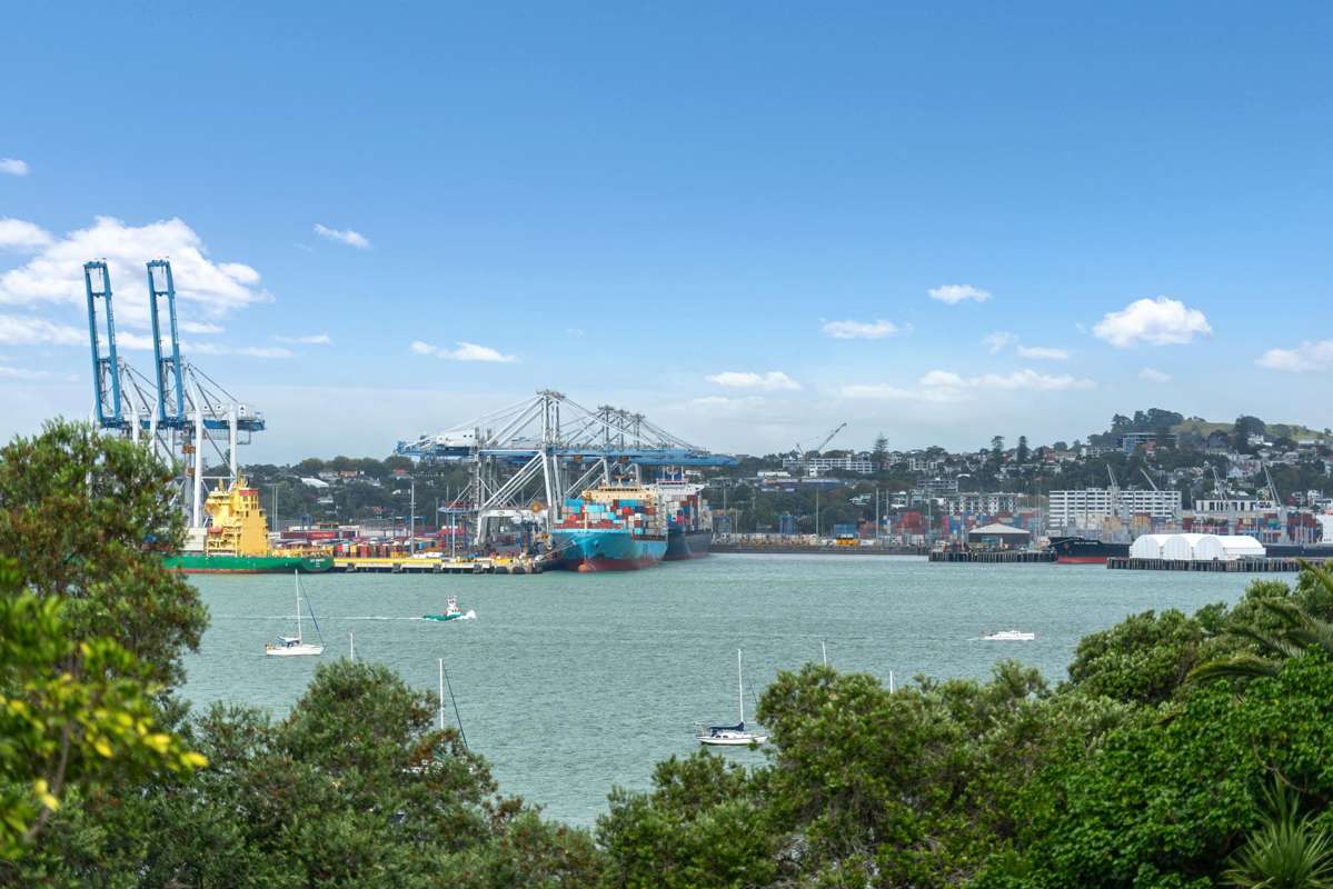 3/25 Stanley Point Road_0