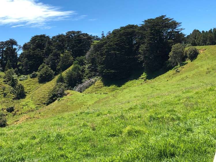 Lot 3 DP539905 Dill Road Kaipara Flats_7