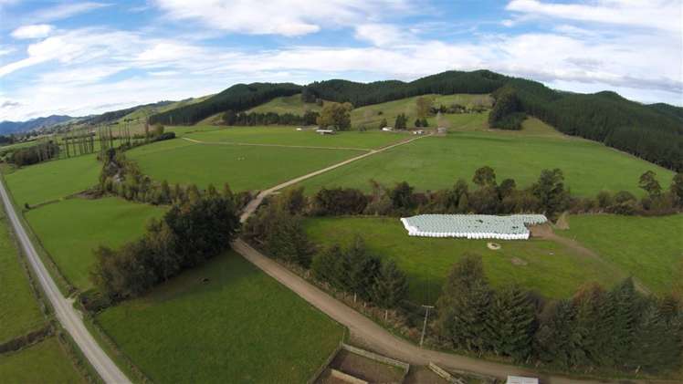 414 Sherry River Road Tapawera_4