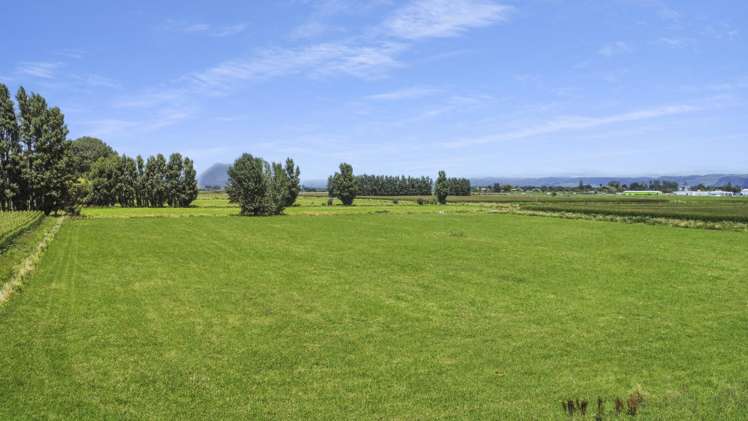 434-454 Awakeri Road Edgecumbe_8