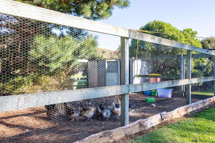 5726 Masterton Castlepoint Road Tinui_22