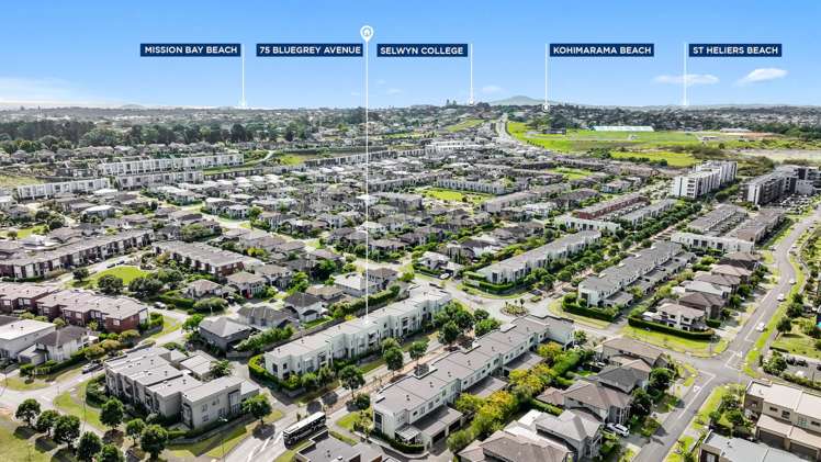 75 Bluegrey Avenue Stonefields_48