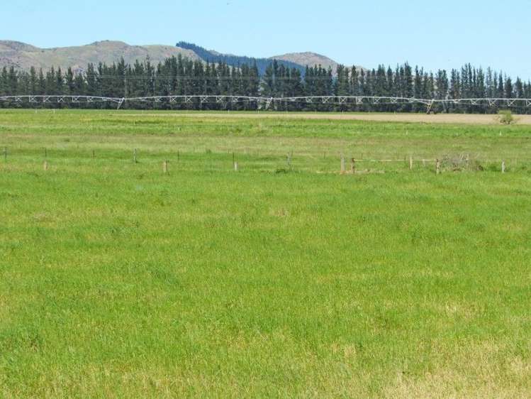 199 Palmside Road Culverden_15