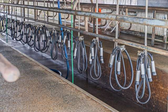 89 Jones Road Donnellys Crossing_1