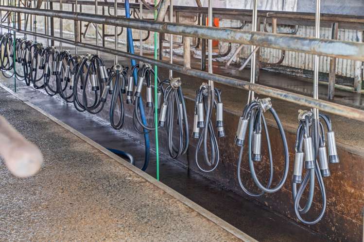 89 Jones Road Donnellys Crossing_1