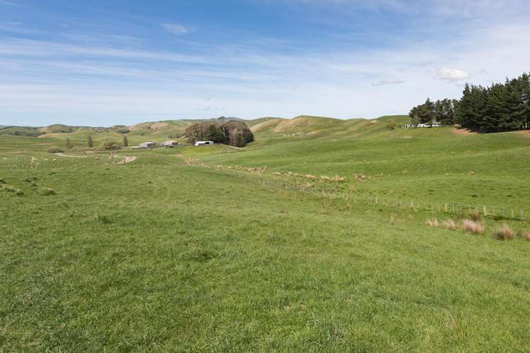 300 Pattison Road Waipukurau_14