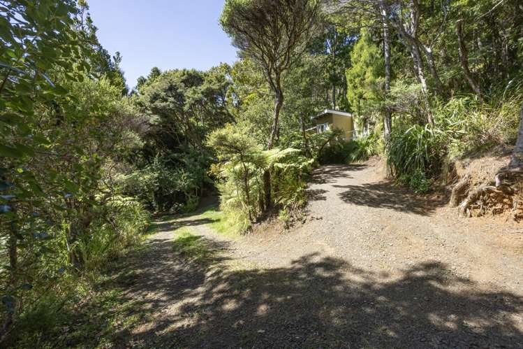 101-103 Lone Kauri Road Karekare_21