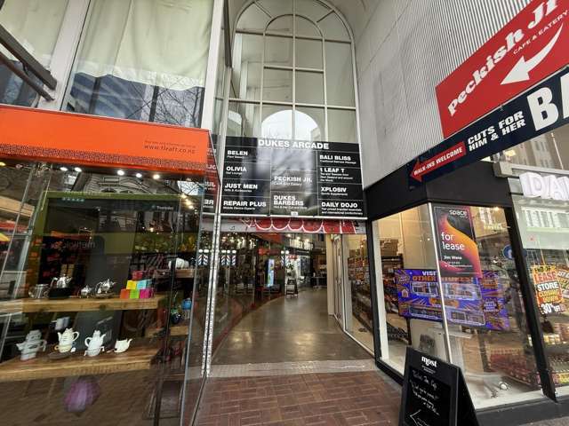 1/1 Manners Street Te Aro_1