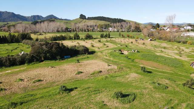 18 Neavesville Road Puriri_2