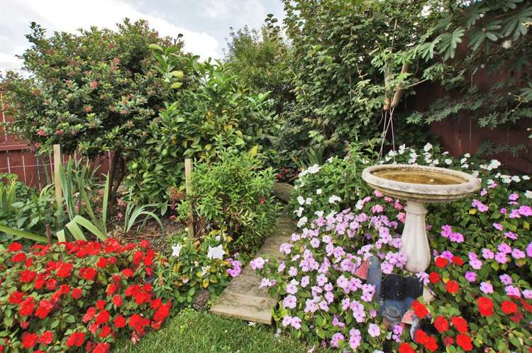 18 Trauzer Place Flagstaff_21