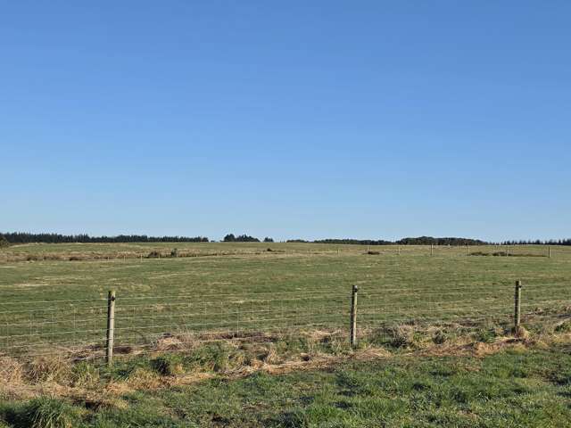 52 Ferguson Street Clifton_1