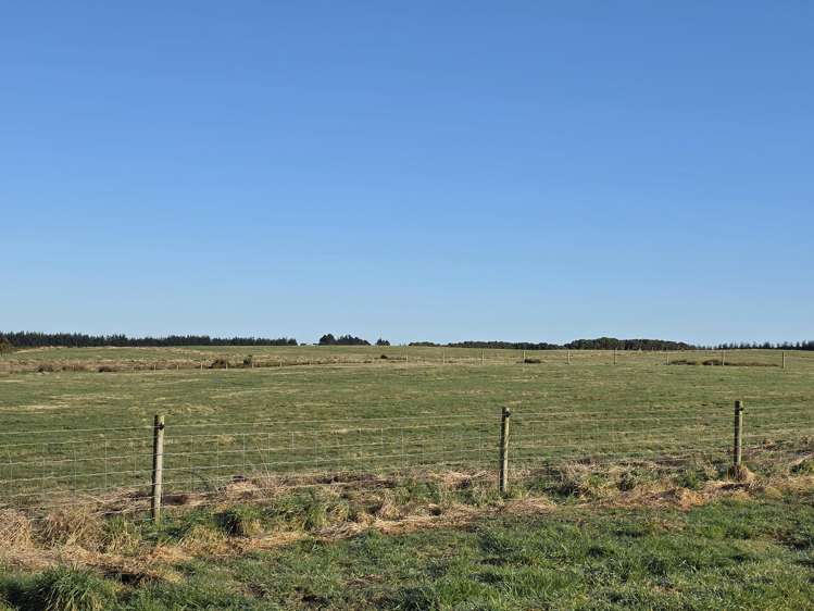 52 Ferguson Street_1