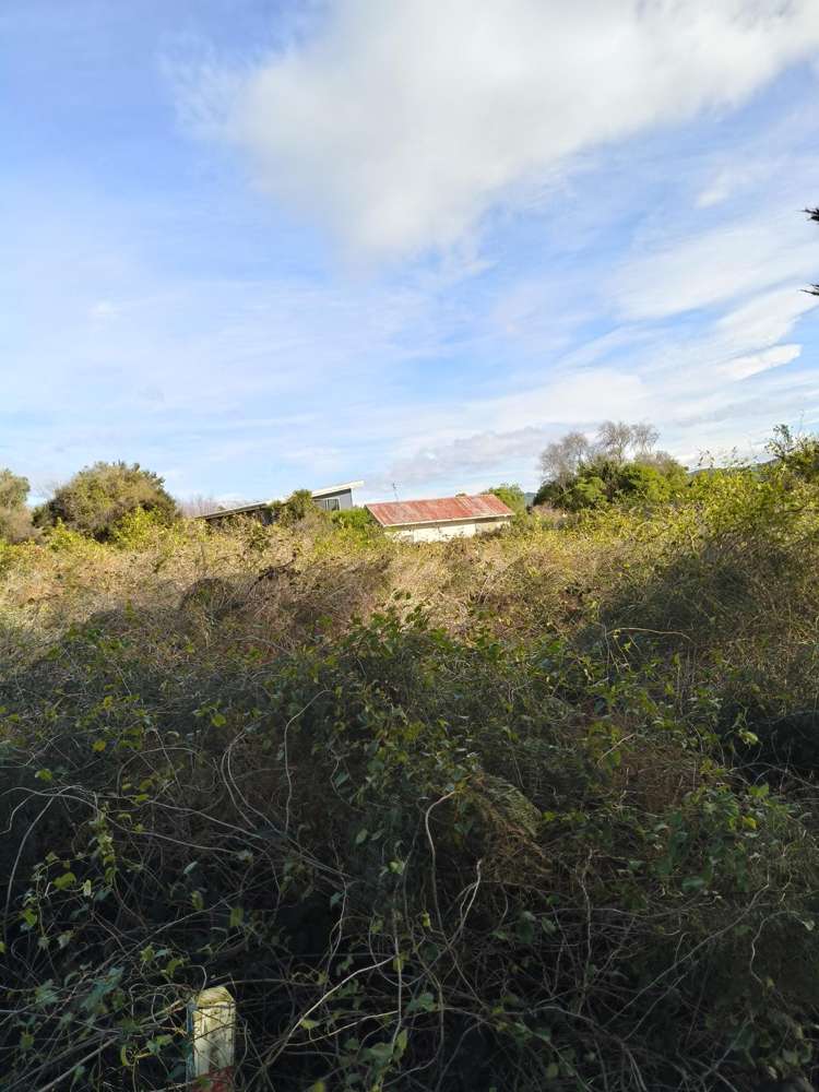 903A Harington Point Road Harington Point_7