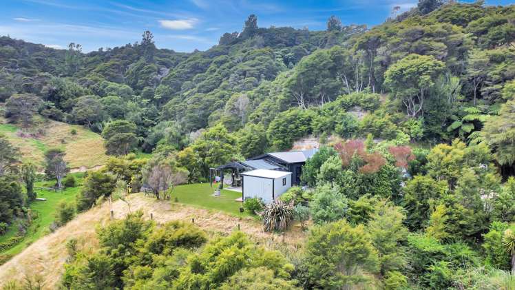 791B White Pine Bush Road Awakeri_3