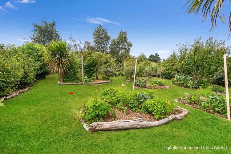 12 Runbrake Street Palmerston_19