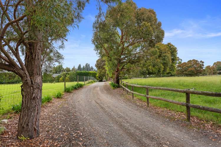 109 Forestry Road Ashley_6