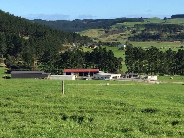 1982 South Head Road South Head_10