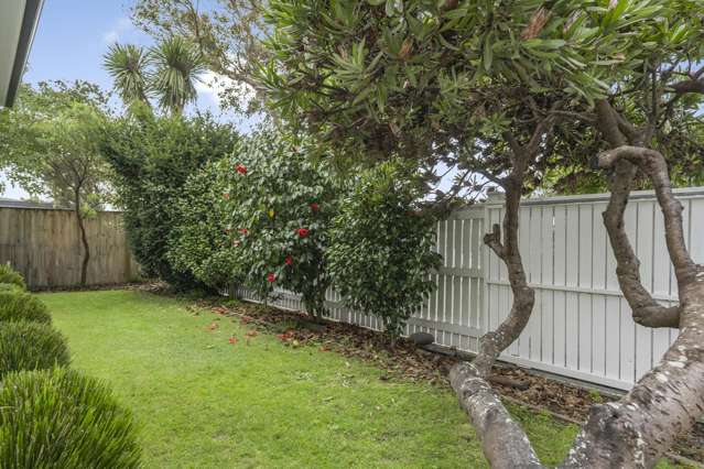 9 Hinau Street Eastbourne_4