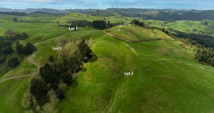 494B Dods Road Waikite Valley_18