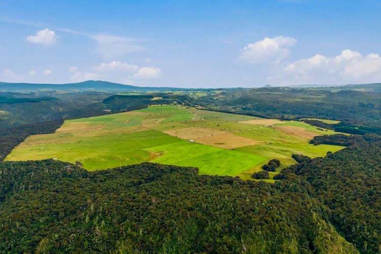 550 Puketapu Road Marotiri_10
