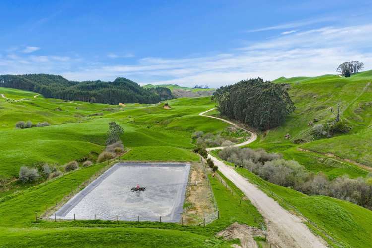 310 Paparamu Road Piarere_9