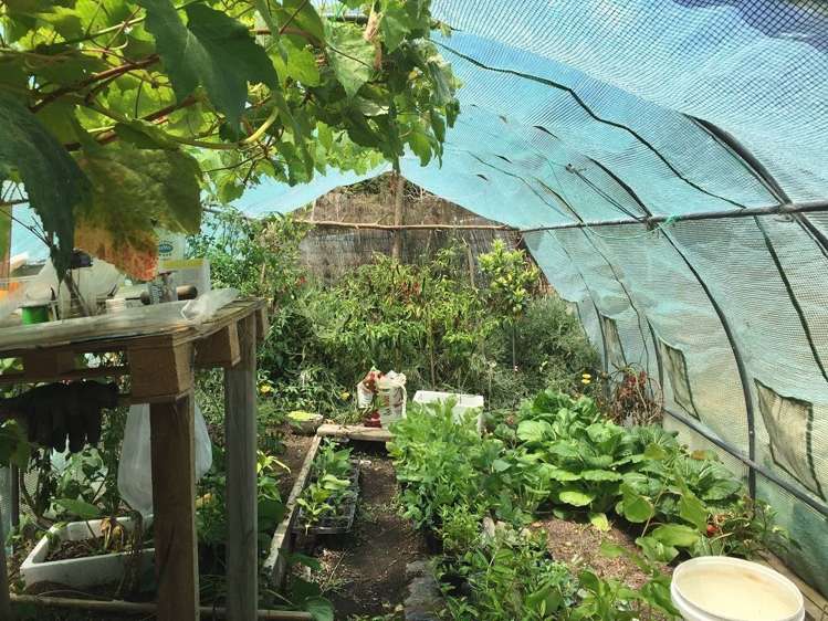 98a Corlett Road Tauhoa_8