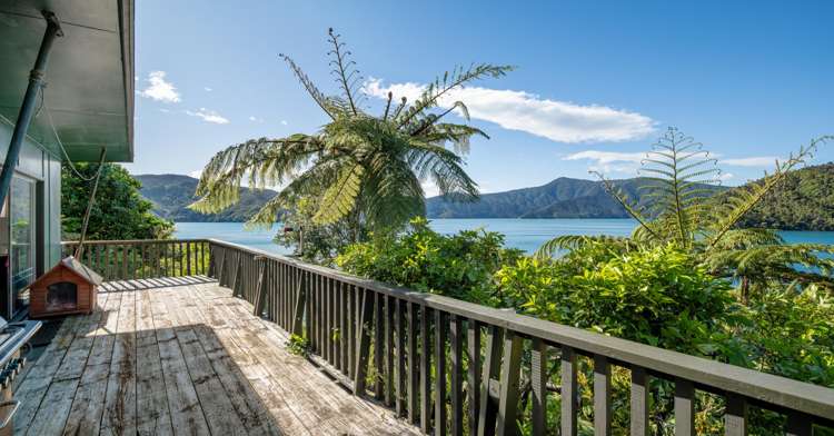 Lot Lot 1/- Blackwood Bay Queen Charlotte Sound_6