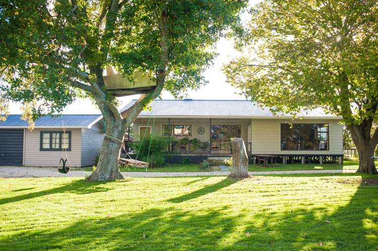 170 Chamberlain Road Te Awamutu_0